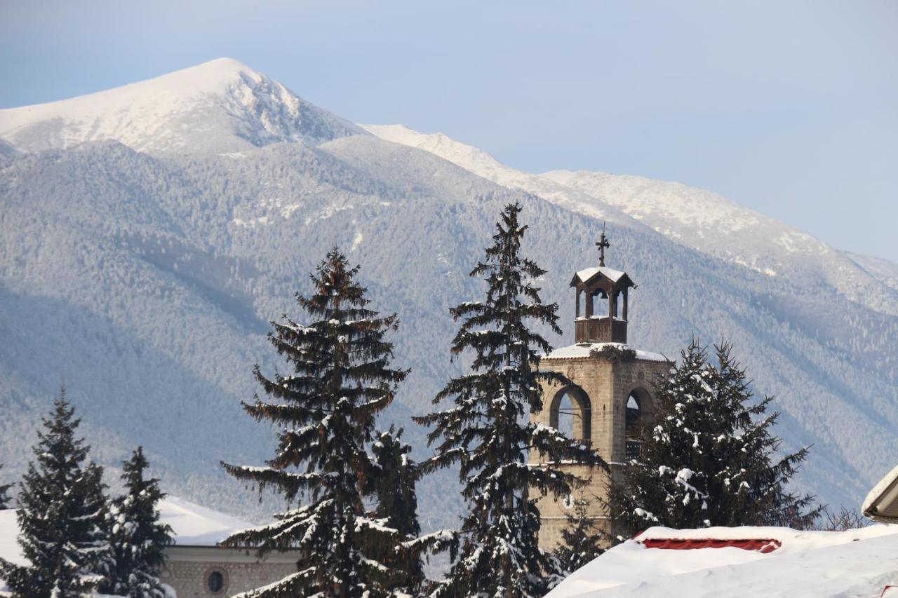 Hotel Alpin - 91 Bansko Exterior photo
